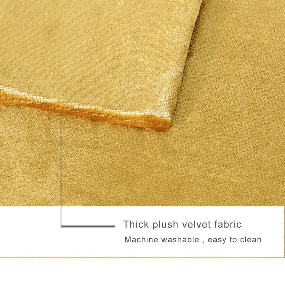 Soft 2 Piece Velvet Pillow Covers