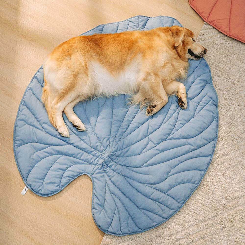 Pet Friendly Orthopedic Dog Blanket Mat