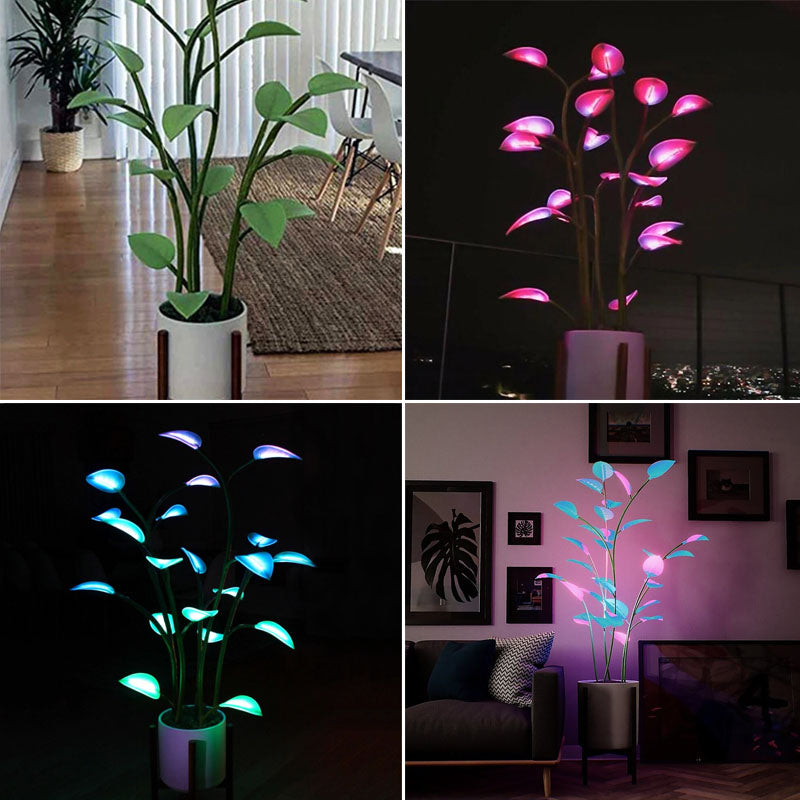 Colorful LED Flower Pot Lamp - Halri