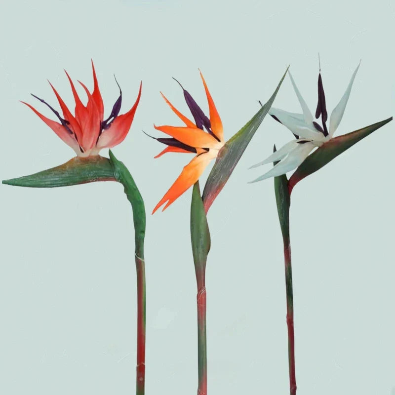 Künstliche Paradiesvogelblumen 3-teiliges Deko-Set