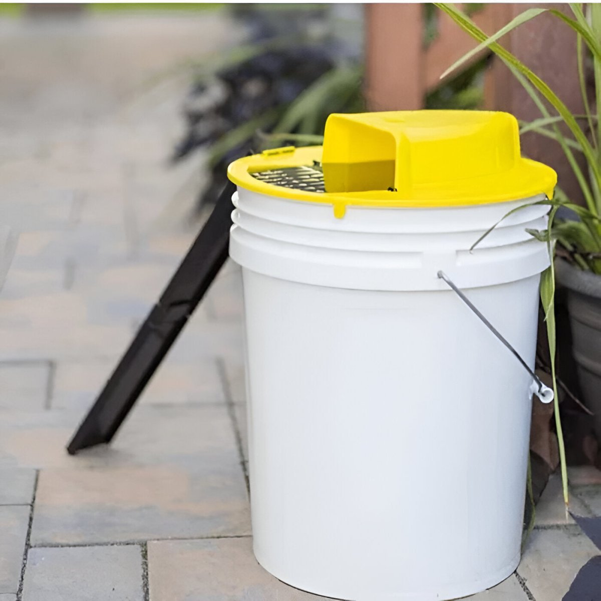 Automatic Humane Mouse Trap for Home and Family - Halri