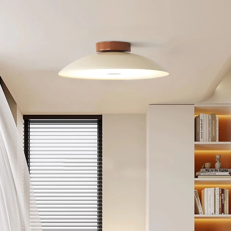 Modern Brushed Metal LED Ceiling Fixture Light