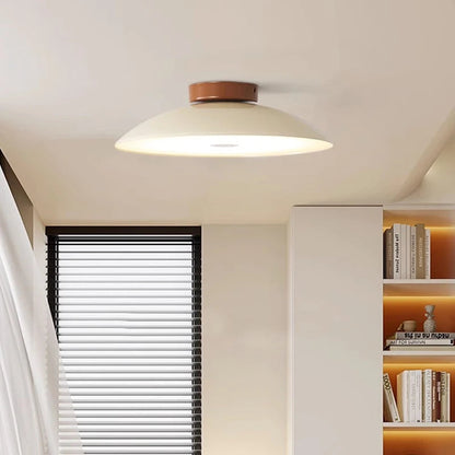 Modern Brushed Metal LED Ceiling Fixture Light