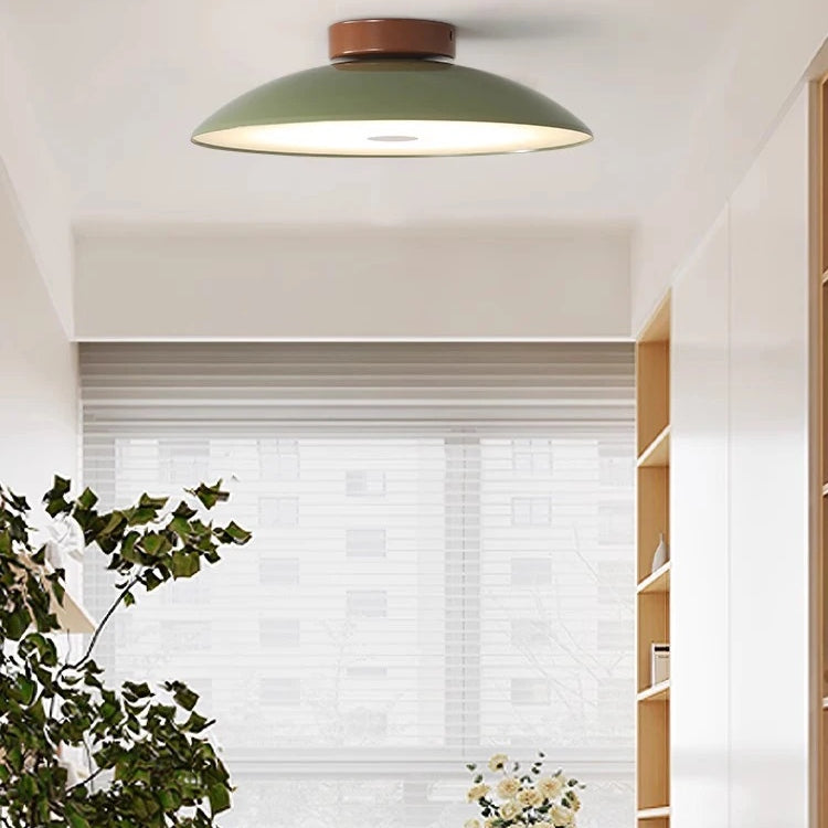 Modern Brushed Metal LED Ceiling Fixture Light