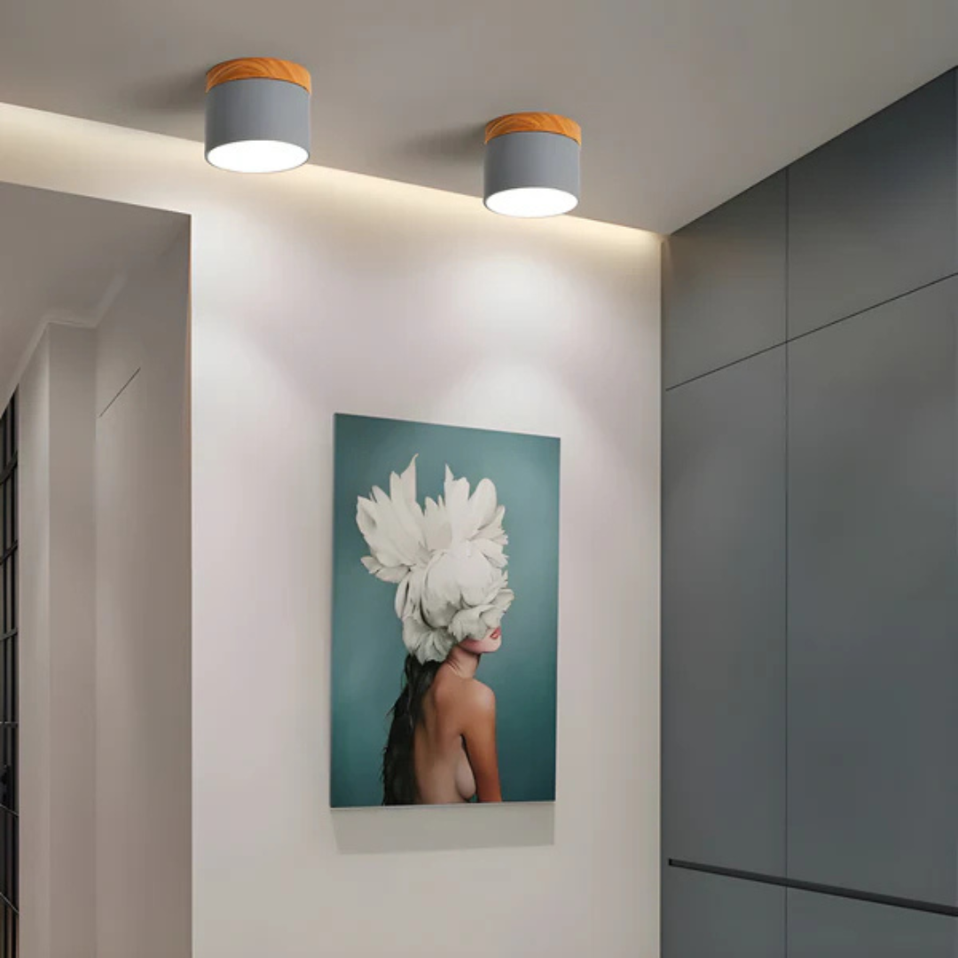 Classic Retro LED Ceiling Light - Halri