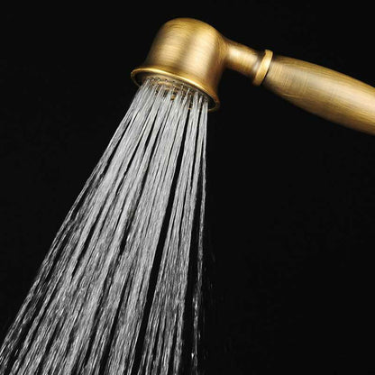 Classic Gold Showerhead with Handle