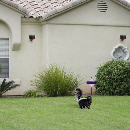 Outdoor Motion Sensor Security Light & Animal Repellent