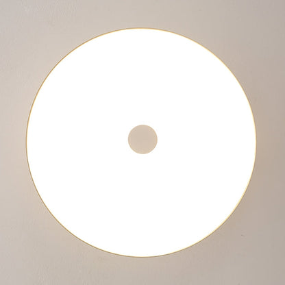 Modern Brushed Metal LED Ceiling Fixture Light