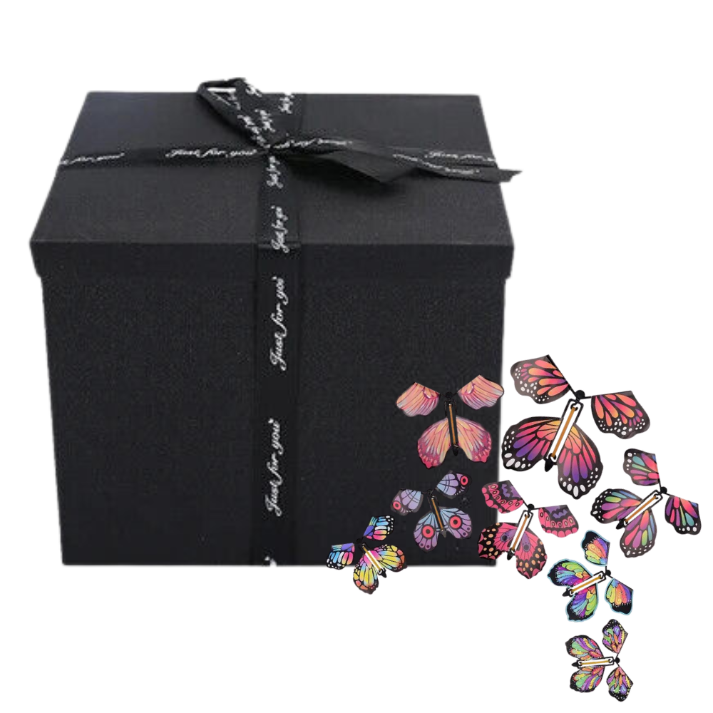 Romantic Valentine's Day Butterfly Picture Frame Gift
