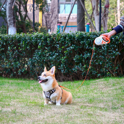 Adjustable Pet Leash with LED Flashlight