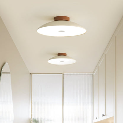 Modern Brushed Metal LED Ceiling Fixture Light
