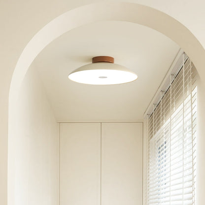 Modern Brushed Metal LED Ceiling Fixture Light