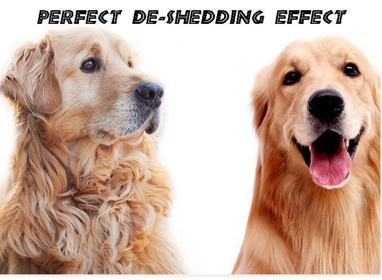 Gentle Pet Detangling Brush