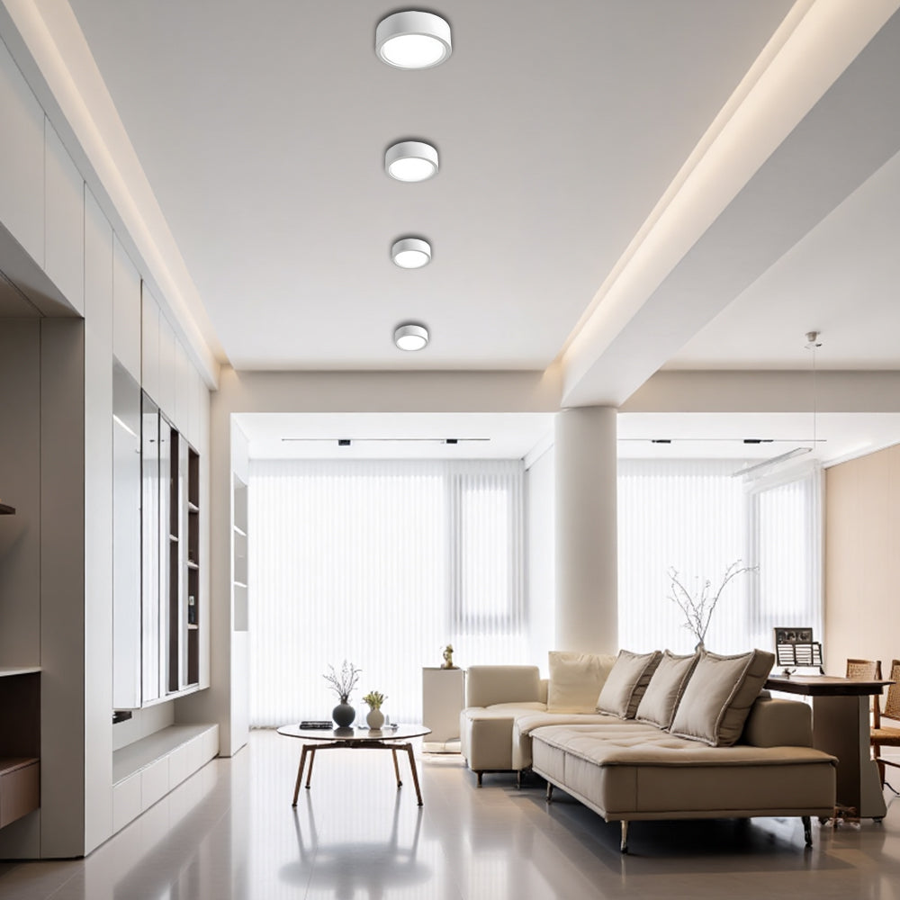Nordic Style Simple Ceiling Light