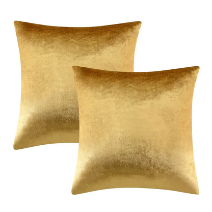 Soft 2 Piece Velvet Pillow Covers
