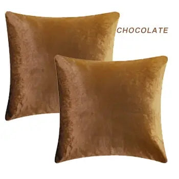 Soft 2 Piece Velvet Pillow Covers