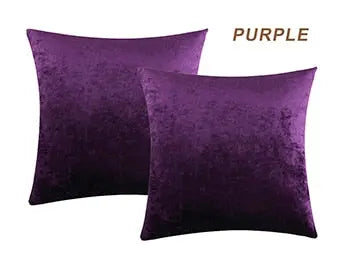 Soft 2 Piece Velvet Pillow Covers