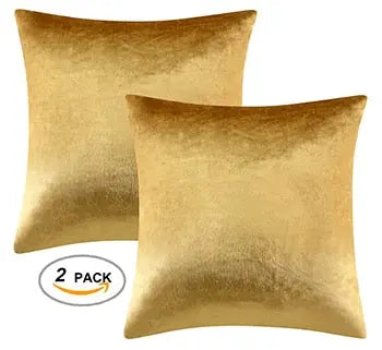 Soft 2 Piece Velvet Pillow Covers