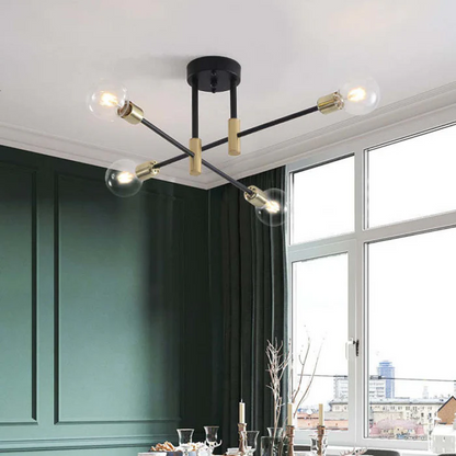 Chic Modern LED Ceiling lamp