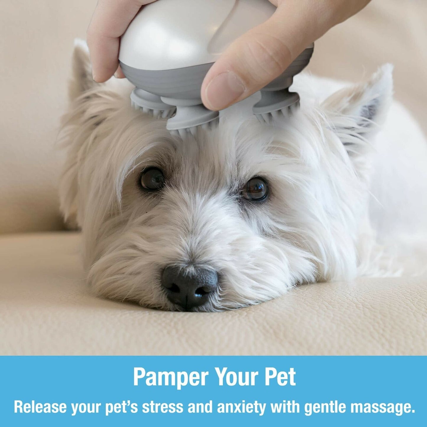 Relaxing Pet Grooming Tool
