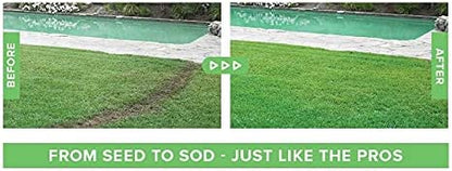 Easy Lawn Seed Spray Kit