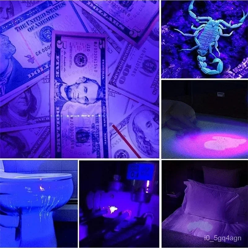 Bright Black Light Flashlight for Bed Bugs and Stains