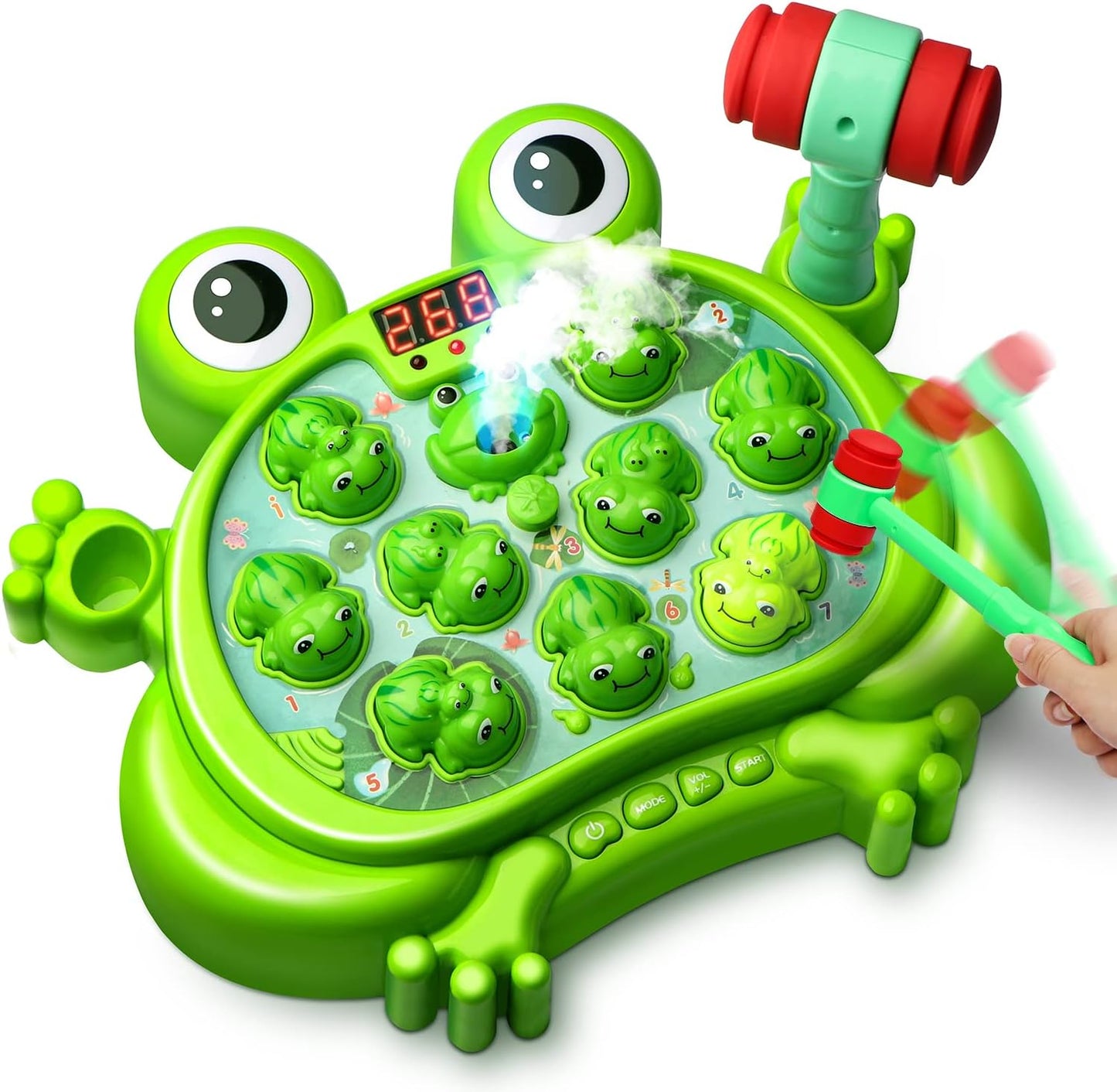 Fun Educational Frog Toy for Kids - Halri