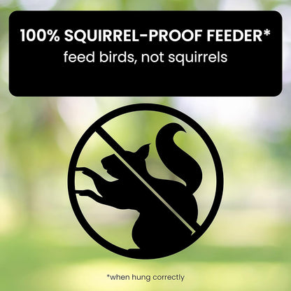 Wild Bird Friendly Feeder Cage