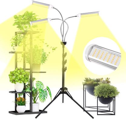 Tall LED Triple Head Grow Light for Indoor Plants