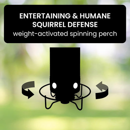 Wild Bird Friendly Feeder Cage