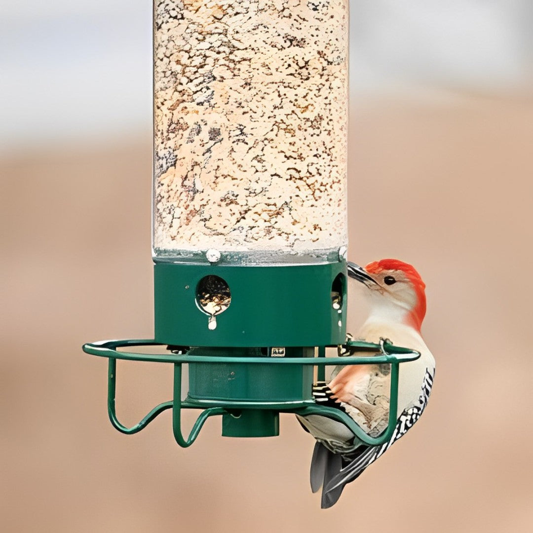 Wild Bird Friendly Feeder Cage