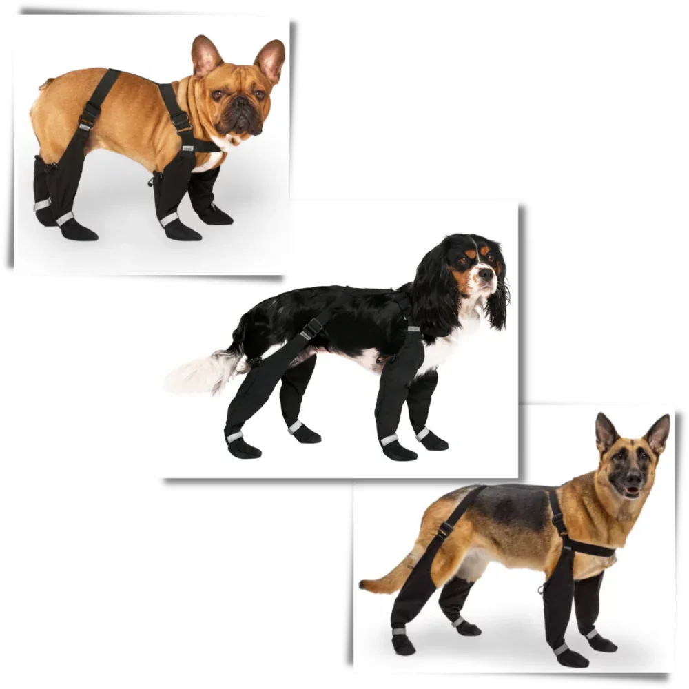 Wasserdichte Welpenschuhe mit Federung