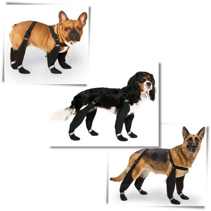 Wasserdichte Welpenschuhe mit Federung