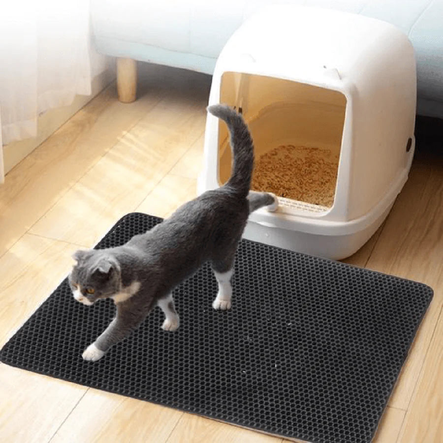 Geruchsfreie Katzenstreu-Lösung 
