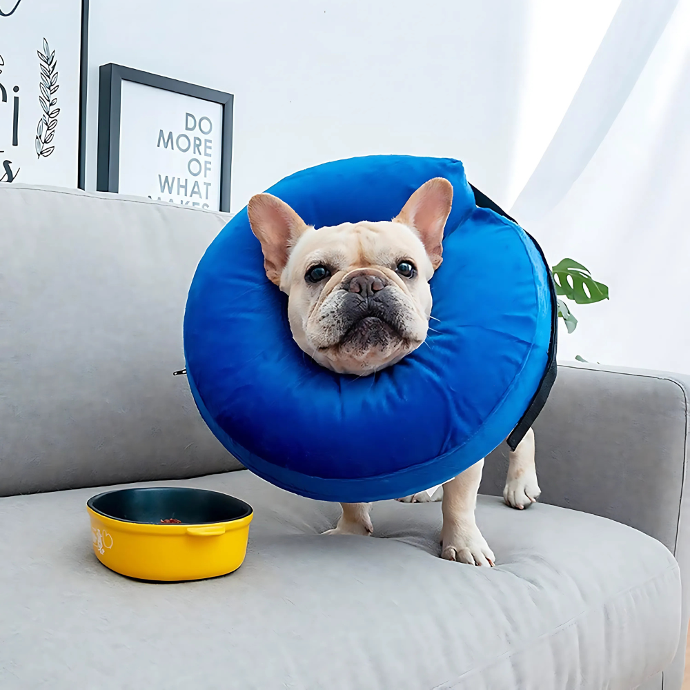 Comfy Pet Recovery Collar Protective Dog Cone
