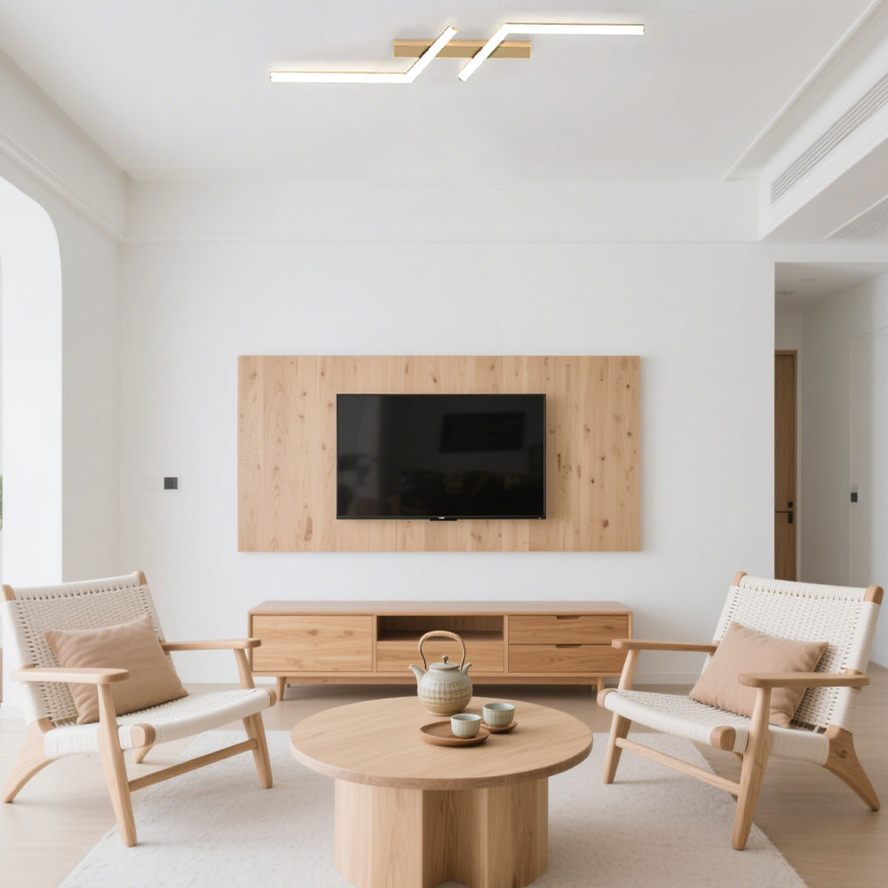 Modern Simple Black Aluminum LED Ceiling Light
