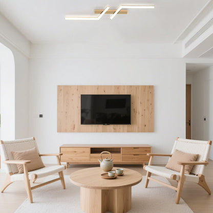 Modern Simple Black Aluminum LED Ceiling Light