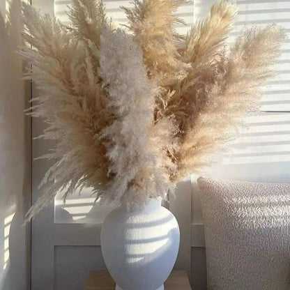 Soft Pampas Grass Centerpiece with Feathers for Home Decor - Halri