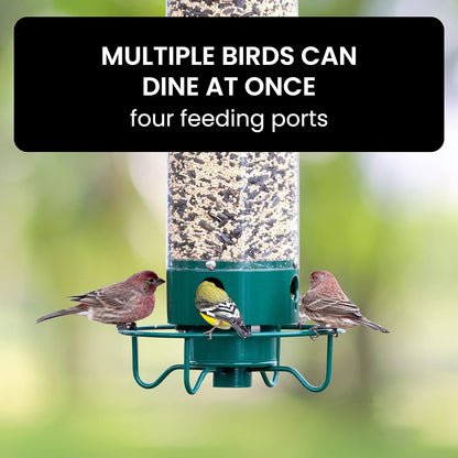 Wild Bird Friendly Feeder Cage