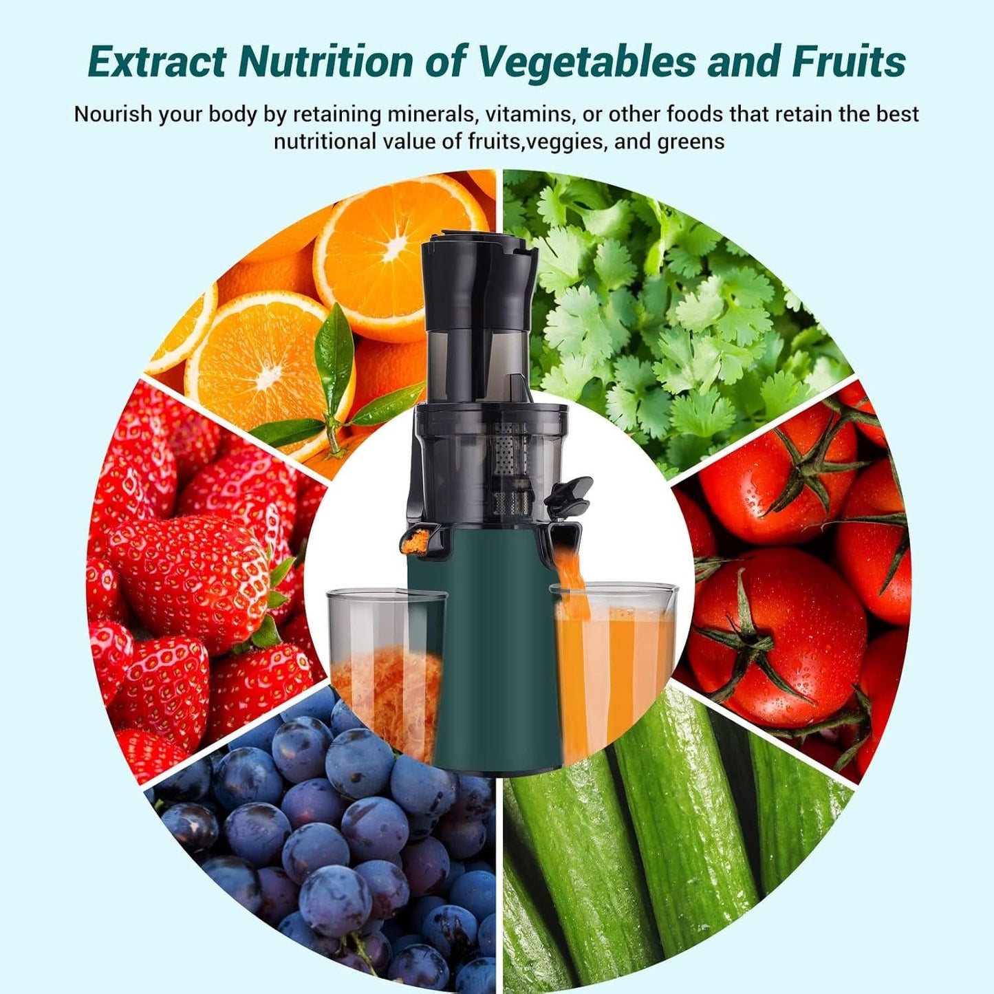 Powerful Slow Masticating Juice Extractor