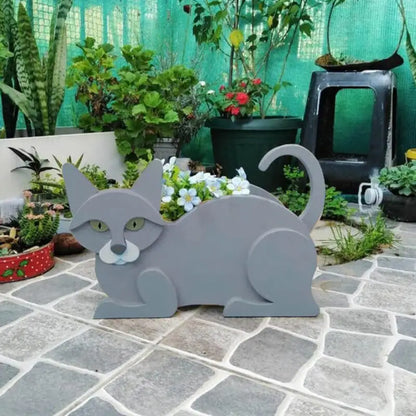 Niedliches Katzen-Pflanztopf-Set