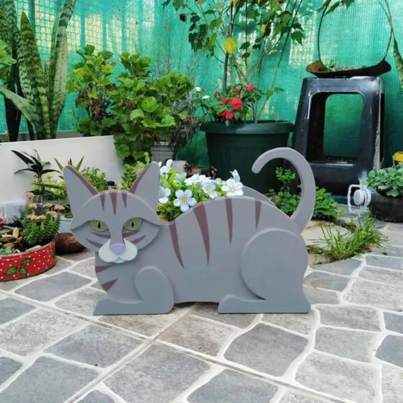 Niedliches Katzen-Pflanztopf-Set