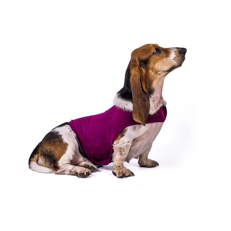 Comfortable Pet Calming Vest for Dogs All Sizes