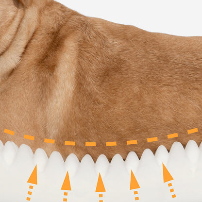 Plush Orthopedic Faux Suede Pet Bed