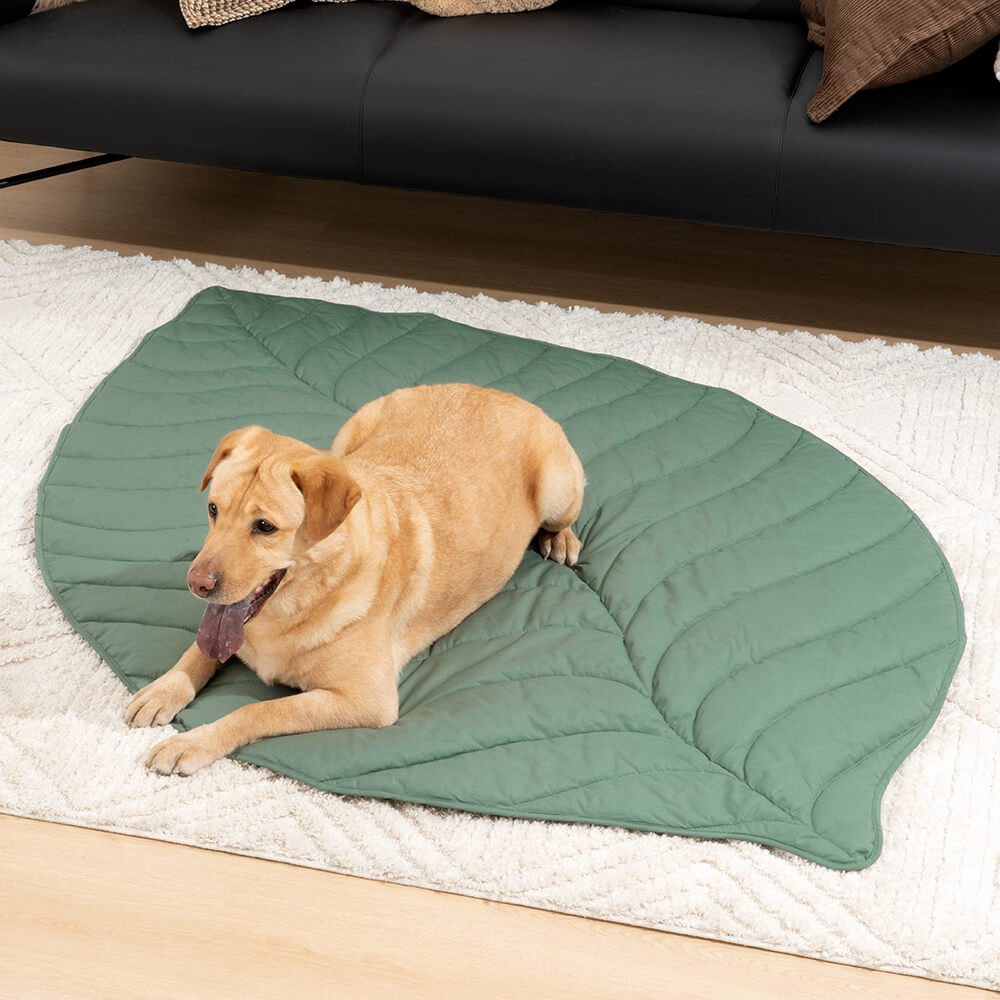 Pet Friendly Orthopedic Dog Blanket Mat