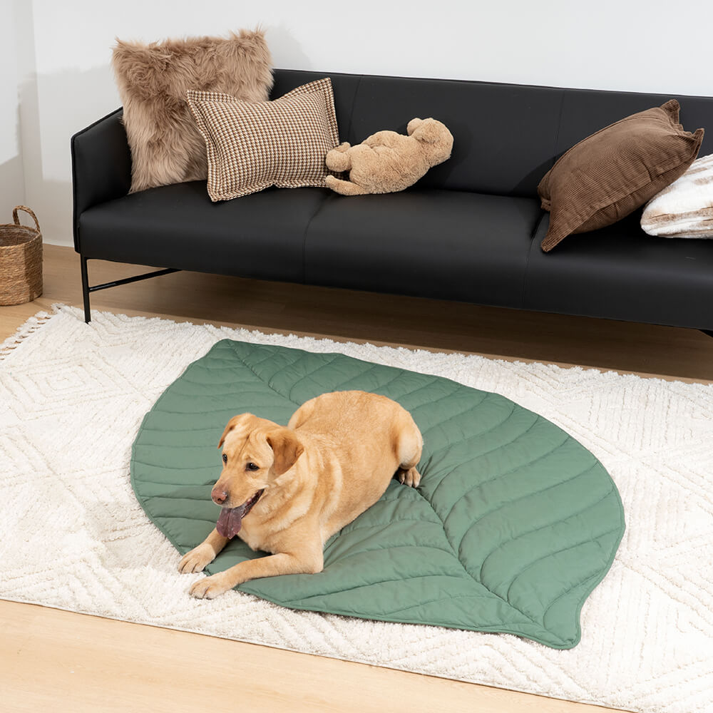 Pet Friendly Orthopedic Dog Blanket Mat