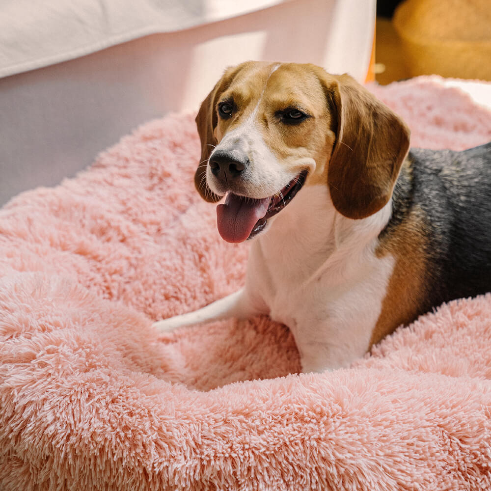 Plush Dog Bed Cloud Soft