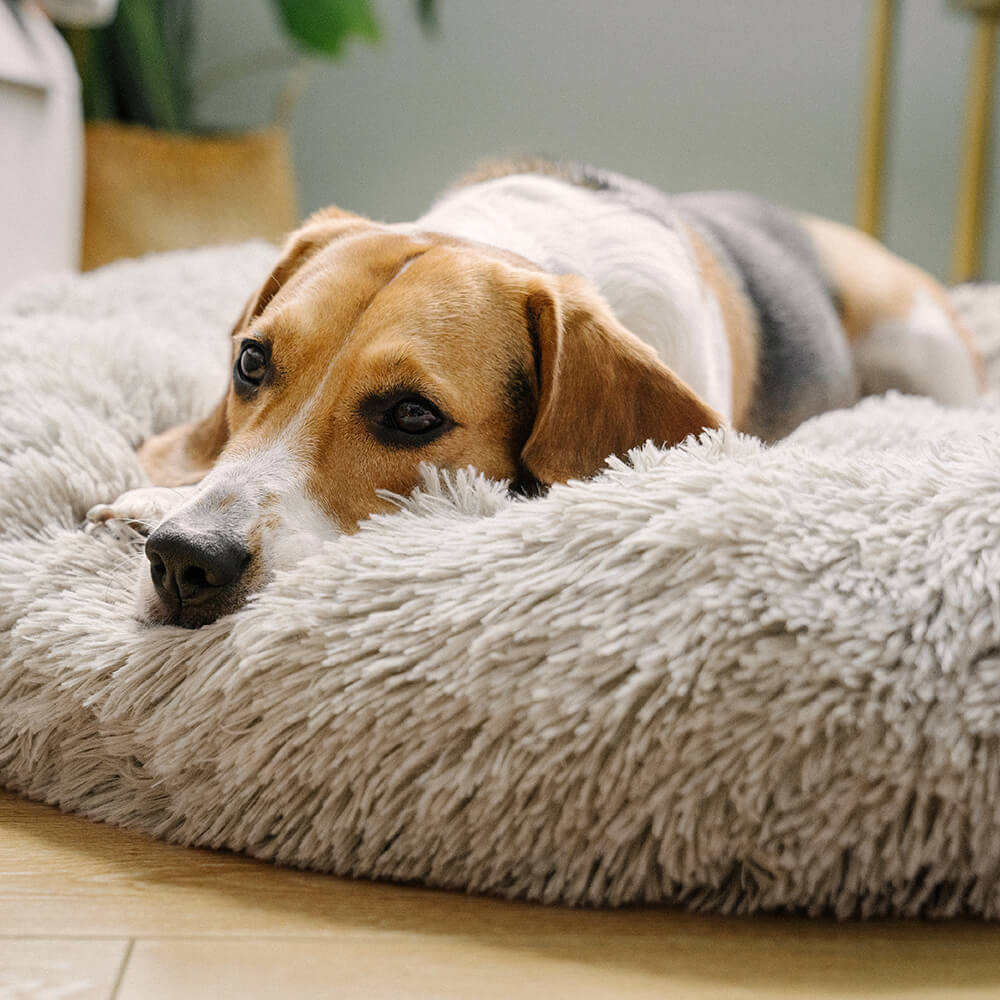 Plush Dog Bed Cloud Soft
