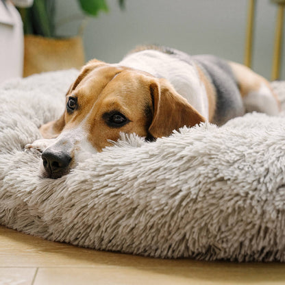 Plush Dog Bed Cloud Soft