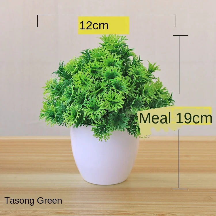 Mini-Bonsai-Pflanzgefäße für drinnen